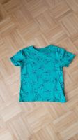 T-Shirt H&M Größe 122/128 Dino Dinosaurier Brandenburg - Finsterwalde Vorschau