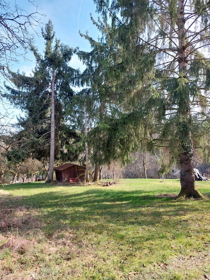 Gartengrundstück mit Hütte 1200qm, SchorndorfWeiler, VB 14.000, in