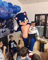 Sonic Maskottchen Kinderanimation Innenstadt - Köln Altstadt Vorschau