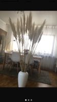 Pampas Gras, Wedel Büschel Blüten, Retro Boho Deco Nordrhein-Westfalen - Pulheim Vorschau