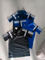 Adidas ,Poloshirts in 140 Niedersachsen - Osloß Vorschau