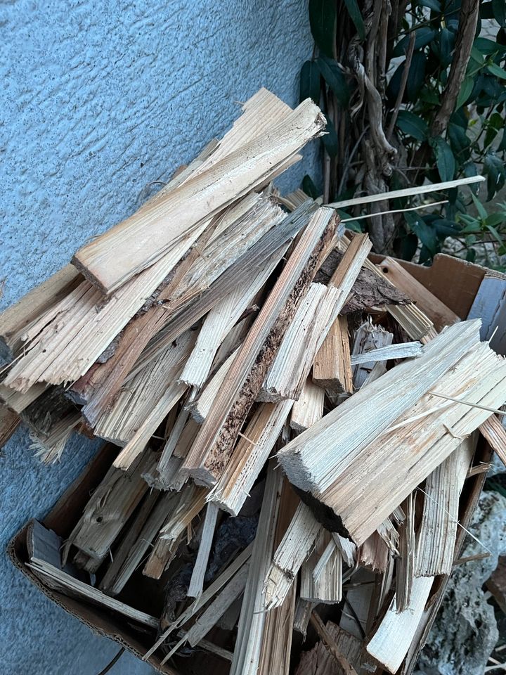 Anzünd Holz in Nassenfels