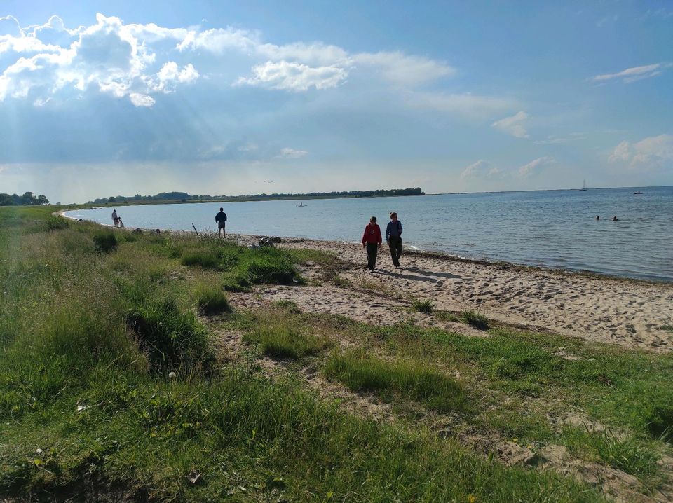 Ferienhaus Ostsee Salzhaff Boiensdorf, nahe Wismar, Poel, Rerik in Neubuckow