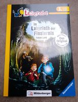 Leserabe Im Labyrinth der Finsternis 3.Lesestufe *neu* Niedersachsen - Wiefelstede Vorschau