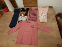 5 Pullover in 110/116 NEU Paket Kleidung Kinder Sachsen-Anhalt - Halle Vorschau