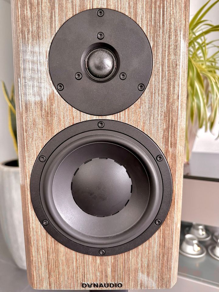 Dynaudio Special 40 grey in Frankfurt am Main