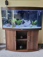 Aquarium Vision 260 L gebarucht/ Wie Neu Baden-Württemberg - Nürtingen Vorschau