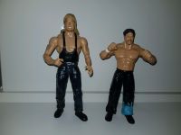 Wwe wrestling figuren(Kevin Nash verkauft) Nordrhein-Westfalen - Lengerich Vorschau