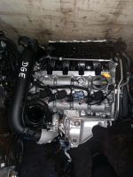 5.TKM MOTOR DGE 1.4 eTSI  DGEA DGEB AUDI SEAT SKODA  VW Nordrhein-Westfalen - Schloß Holte-Stukenbrock Vorschau