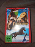 DVD Box Pferdefilme Sachsen - Großharthau-Seeligstadt Vorschau