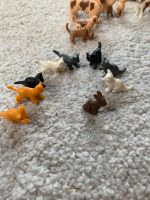 Playmobil Tiere Katzen Hunde Welpen Waldtiere Köln - Porz Vorschau