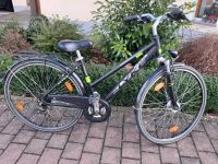 Damen Fahrrad 28 Zoll Bayern - Estenfeld Vorschau