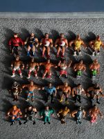 24 WWF Hasbro Wrestling Konvolut Figuren Sammlung Top Schleswig-Holstein - Norderstedt Vorschau