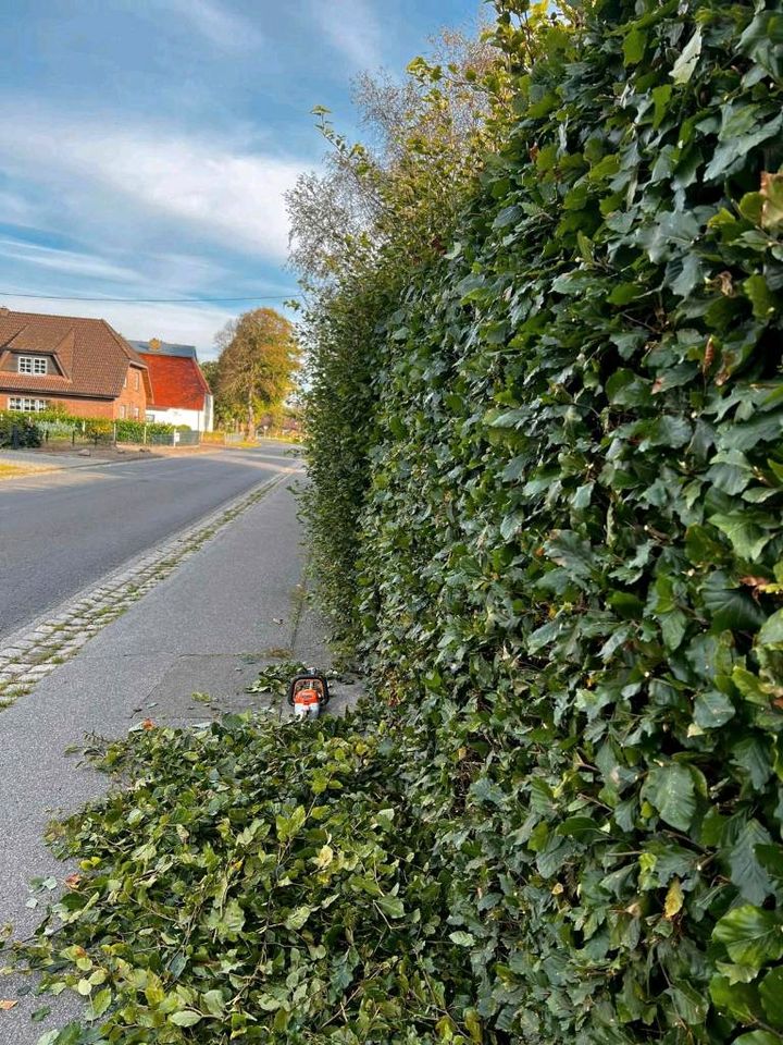 Gartenpflege rund ums Haus Hentschel in Lieth