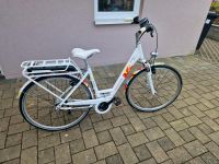E-BIKE Fahrrad Rheinland-Pfalz - Weinsheim Vorschau