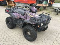 Polaris Sportsman 700 Twin AWD AHK Winde Niedersachsen - Lehre Vorschau