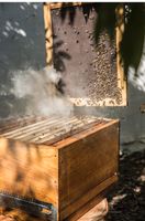 SUCHE Bienenkasten für meine dachlosen Bienen Saarbrücken-Halberg - Brebach-Fechingen Vorschau
