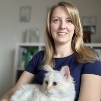 Akupunktur, Lasertherapie für Hunde und Katzen Baden-Württemberg - Bruchsal Vorschau