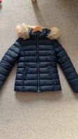 Tommy Hilfiger Winterjacke Übergangsjacke Daunenjacke S 36 dunk Nordrhein-Westfalen - Bottrop Vorschau