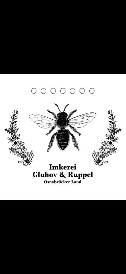 Bienen Volk Buckfast Ligustica Mellifera in Osnabrück