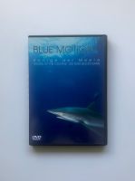 Blue Motion - Könige der Meere, DVD, Dokumentation, neuwertig Düsseldorf - Urdenbach Vorschau