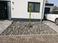 Granit Steine umsonst zur Selbstabholung Saarland - Homburg Vorschau