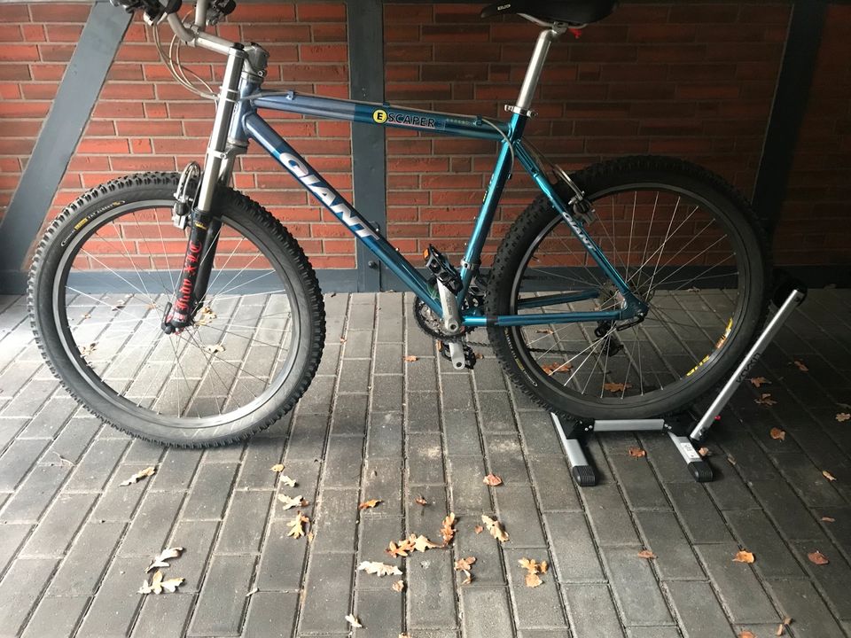 Giant Mountainbike 26 Zoll bis Sonntag 250 € in Wernsdorf