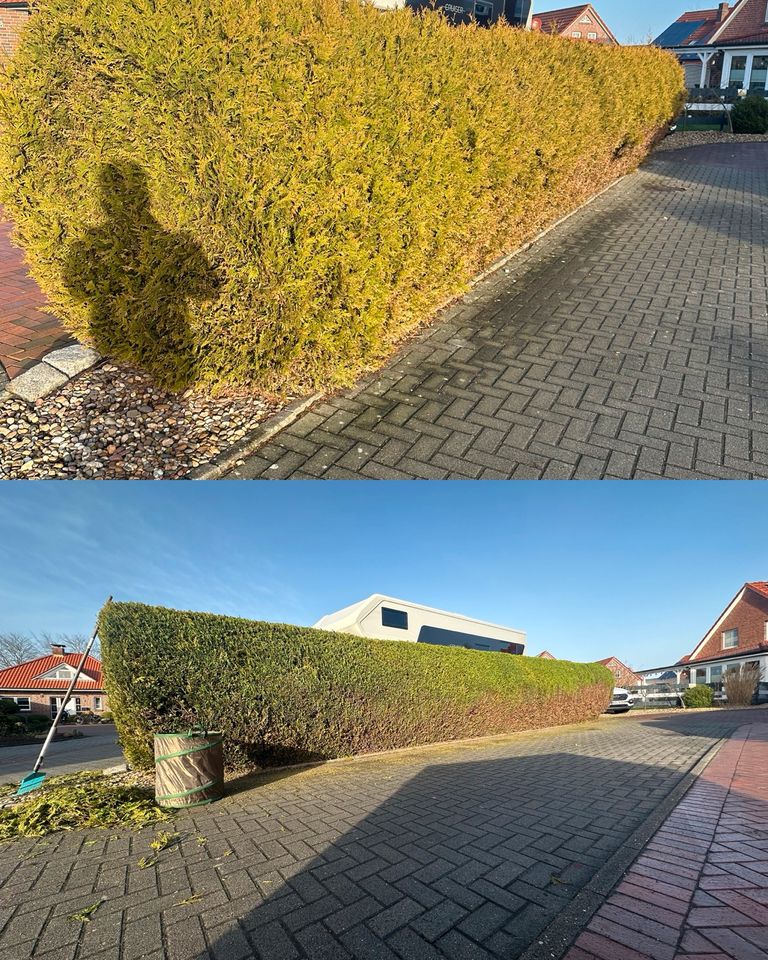 Hecke schneiden und Heckenformschnitt in Norden