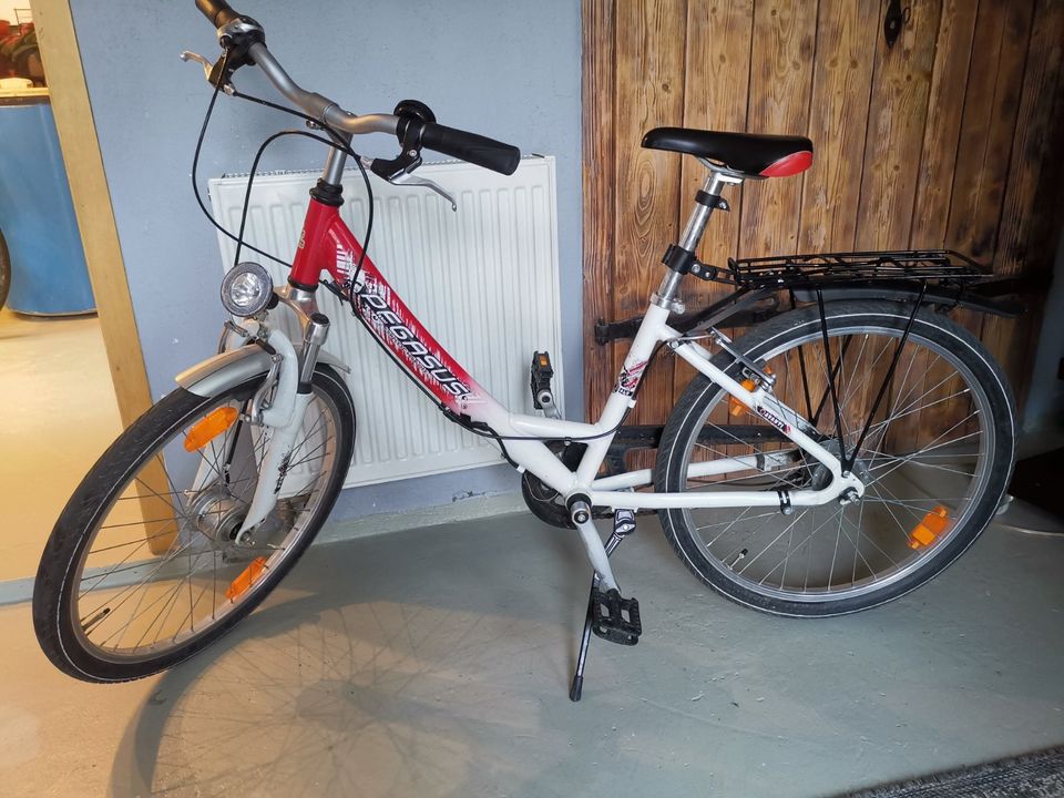 Mädchenfahrrad Pegasus Avanti 24 Zoll in Calw