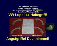 4x Angstgriff 6X0857607G Dachhimmel 6X0857607F Haltegriff VW Lupo Rheinland-Pfalz - Bad Sobernheim Vorschau