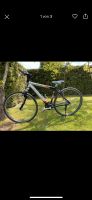 Bulls Trekking Fahrrad Sport 1.5 c 26zoll Rheinland-Pfalz - Zweibrücken Vorschau