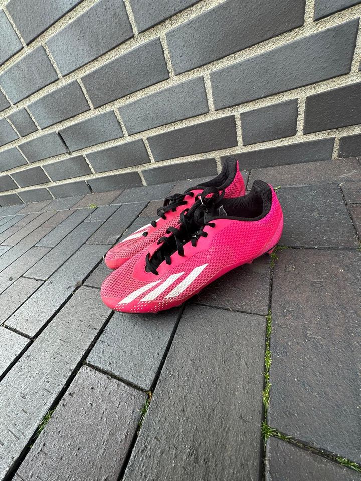 Adidas Bolzer 41 in Flensburg