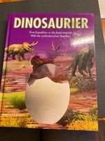 Dinosaurier  Buch Rheinland-Pfalz - Maikammer Vorschau