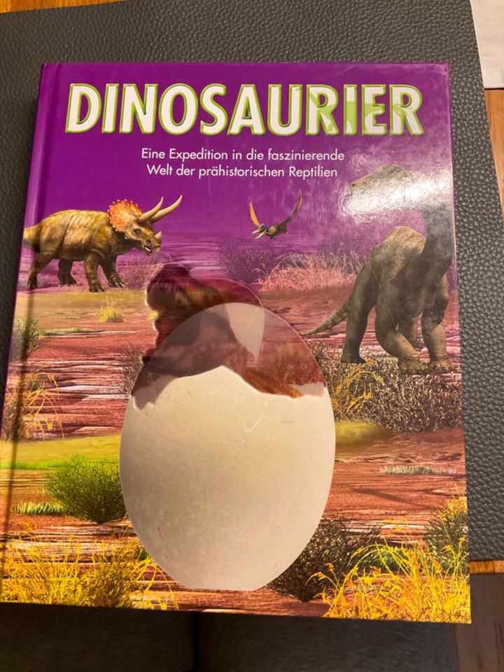 Dinosaurier  Buch in Maikammer