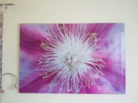 Bild, Blumenmotiv, Acrylglas, pink, rosa, weiß, 1,0x1,5 m Bayern - Schechen Vorschau