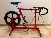 serotta size cycle system Anpassbares Ergometer Fahrradtrainer Bayern - Freilassing Vorschau
