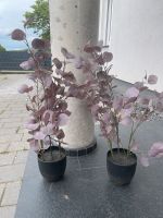2x künstlicher Eukalyptus Nordrhein-Westfalen - Oerlinghausen Vorschau