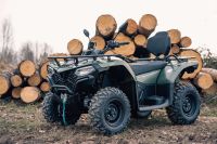 QUAD & ATV - CFMOTO CFORCE 450 L DLX EPS LOF + begrenzt Lagernd + Mecklenburg-Vorpommern - Bartow Vorschau