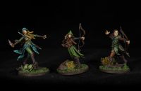 Mirkwood ranger Herr der Ringe tabletop! Bemalt! 10 Miniaturen Baden-Württemberg - Ravensburg Vorschau