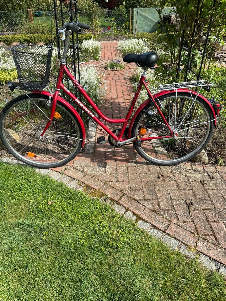 Fahrrad rot 28er Rahmen Hercules Damenfahrrad mit Korb in Edemissen