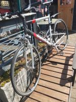 Trekking Rad   + Laufrolle ! Sachsen - Stollberg Vorschau