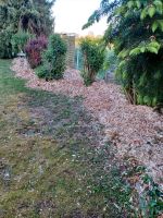 Mulch für Beete und Garten Bayern - Kipfenberg Vorschau