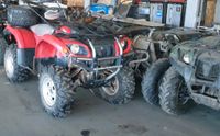 Suche Yamaha grizzly Raptor Yfm 125 250 350 450 550 600 660 700 Nordrhein-Westfalen - Petershagen Vorschau