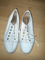 Sneaker von H&M Hannover - Mitte Vorschau