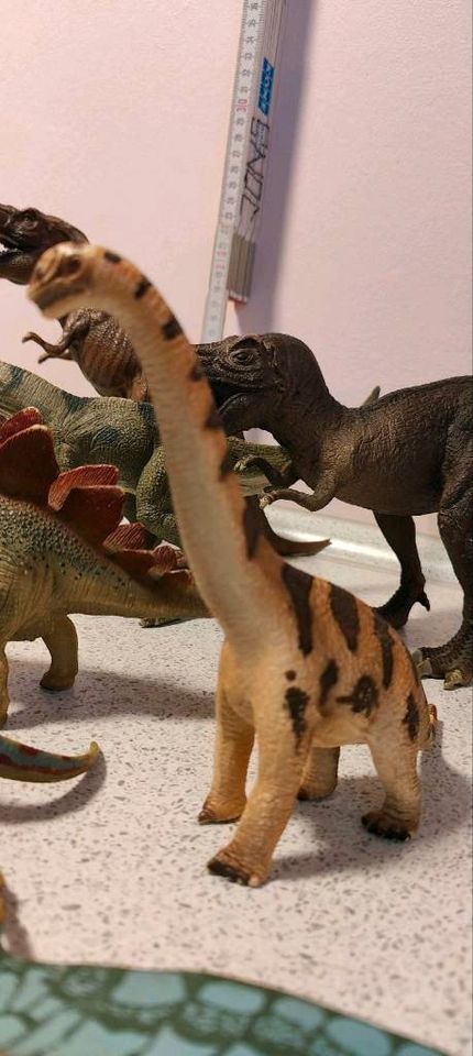 Schleich Dinosaurier Verschiedene Figuren in Bremen