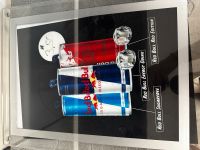 Red Bull Leuchtreklame Schild Werbung Niedersachsen - Oldenburg Vorschau