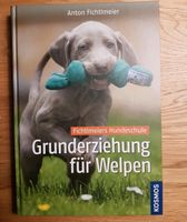 Fichtlmeier Hunde Schule Grunderziehung für Welpen Baden-Württemberg - Meckenbeuren Vorschau