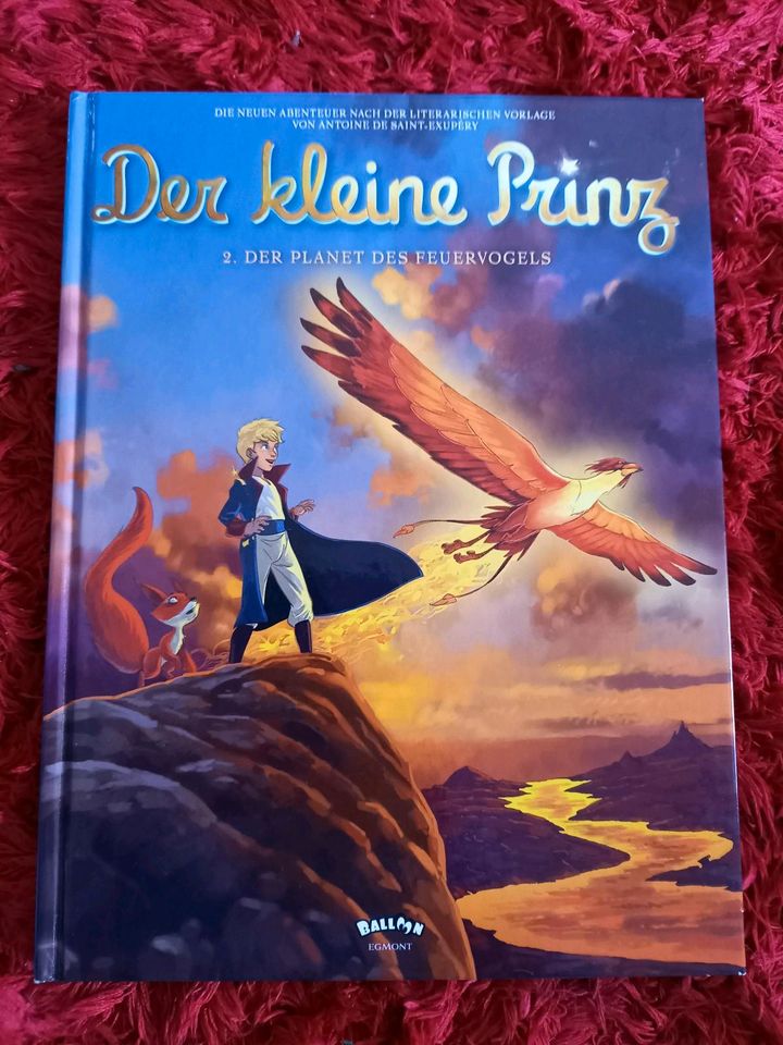 Buch Der kleine Prinz in Bibertal