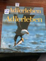 Adlerleben Klaus Nigge Nordrhein-Westfalen - Vettweiß Vorschau