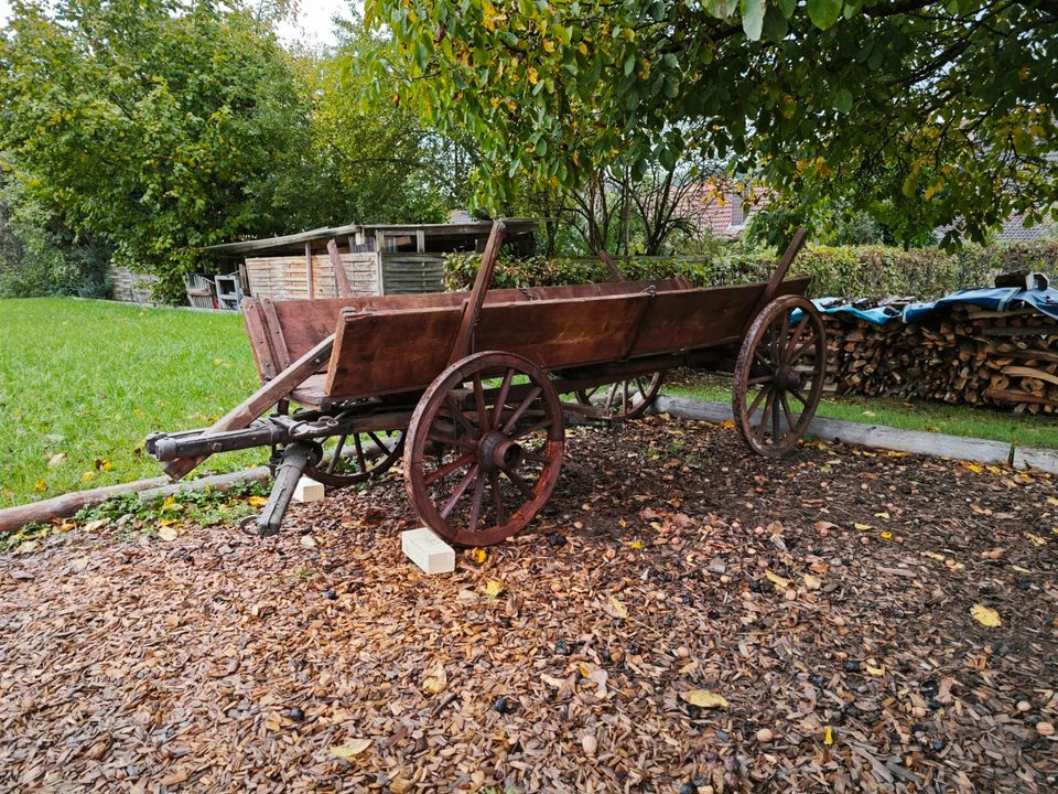 Holzwagen antik  in gutem Zustand in Eschau